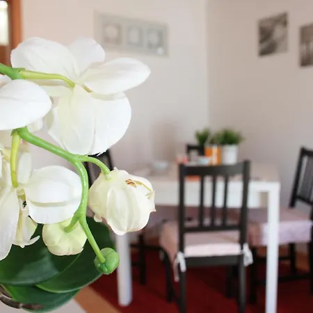 Ericeira Apartments * 埃里塞拉